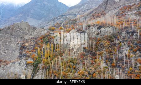 Vista aerea dello storico forte di Altit arroccato su una scogliera circondato da un vivace fogliame autunnale e dalle aspre vette montuose di Altit, Gilgit, Pakista Foto Stock