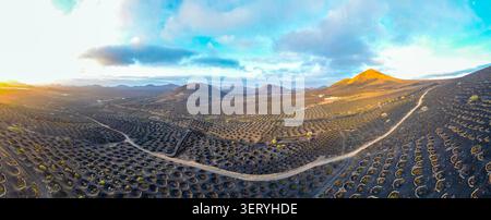 Vista aerea del paesaggio vulcanico di la Geria con le sue caratteristiche mura circolari in pietra per vigneti e coni vulcanici sotto un tramonto dorato Foto Stock