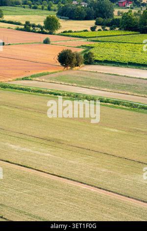 vista aerea dei campi agricoli coltivati con ruscelli e alberi solitari in estate Foto Stock