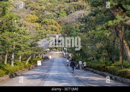 Viale pedonale alberato attraverso il parco Maruyama con fogliame primaverile a Kyoto, Giappone. Foto Stock