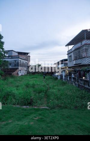 Vicolo rurale di Hanoi, Vietnam al crepuscolo - erba ricoperta tra case intemprate con ondulato Foto Stock