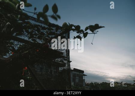 Vista del tramonto su un quartiere residenziale di ho chi Minh City, Vietnam, con vigne arrampicate e. Foto Stock