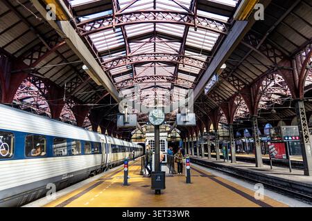 Banchine presso la stazione centrale di Copenaghen (Københavns Hovedbanegård), Danimarca Foto Stock