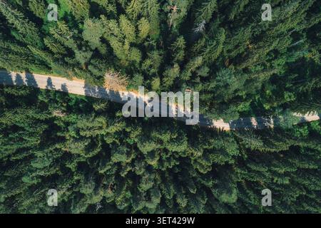 Vista aerea di un'auto che guida lungo una strada tortuosa attraverso una lussureggiante foresta verde alla luce del giorno Foto Stock