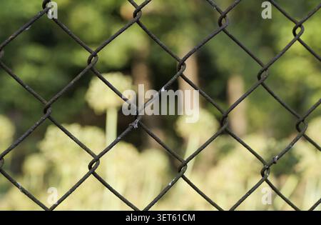 Vista ravvicinata del filo di recinzione con maglie a catena che crea una barriera protettiva, che mostra una struttura a rete a motivi geometrici e sfondo verde sfocato Foto Stock