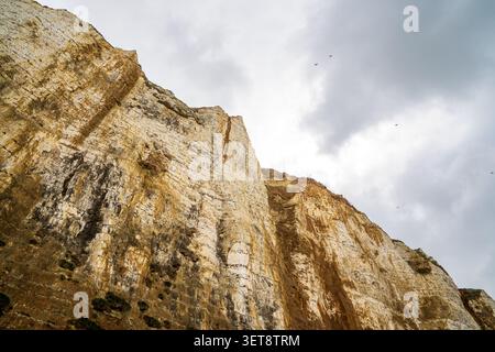 Una vista dall'angolo basso guarda verso la maestosa e ripida parete rocciosa delle scogliere di gesso a Veulettes-sur-Mer. La roccia stratificata mostra ricco ocra e bianco Foto Stock