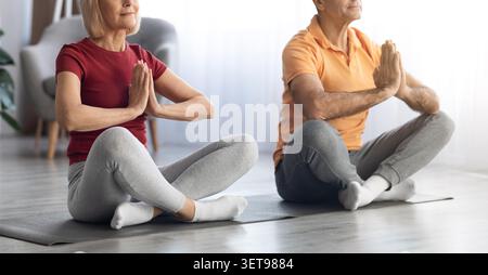 Coppie anziane che praticano Yoga in un ambiente confortevole interno, concentrato e calmo, concetto di benessere Foto Stock