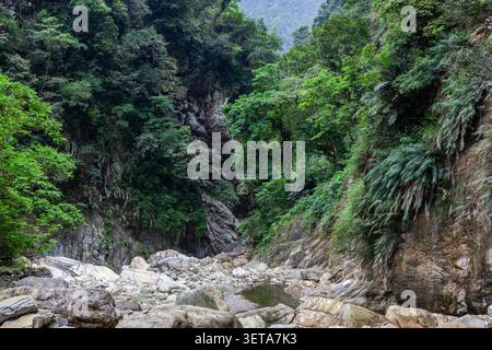 Paesaggio della valle di Sanzhanxi nel Parco Nazionale di Taroko. Ripide scogliere rocciose con lussureggiante foresta verde. Letto del fiume Stony con piscina d'acqua. Foto Stock