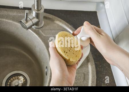 Mani che applicano il sapone a una spugna naturale nel lavello della cucina per la pulizia Foto Stock