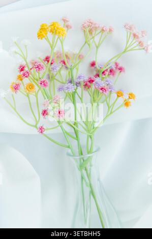 Una composizione delicata ed estetica caratterizzata da un bouquet di piccoli, vibranti e multicolori fiori artificiali di gypsophila Foto Stock