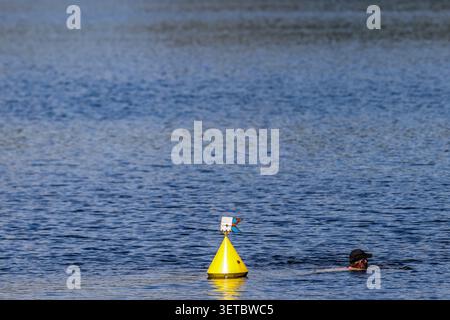22 giugno 2026, Renania settentrionale-Vestfalia, Duisburg: Una donna sta nuotando in un lago sull'Altopiano dei sei Laghi. Foto: Christoph Reichwein/dpa Foto Stock