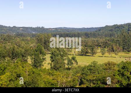 Paesaggio rurale panoramico a Ivoti, Rio grande do sul, Brasile, con terreni agricoli aperti, foresta lussureggiante, dolci colline ondulate, e un cielo azzurro. Foto Stock