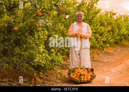 Ritratto di un'orgogliosa donna mediorientale in abiti tradizionali con cesto di raccolta in vimini pieno di arance fresche in agrumi assolati Foto Stock