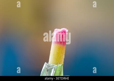 Papaveri di frutta multicolore su sfondo verde. Vista dall'alto. Spazio per il testo. Foto Stock