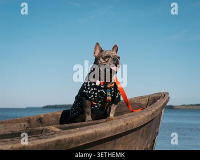 Il Bulldog francese siede su una barca di legno. Indossa una camicia nera con puntini bianchi. La sua lingua è appesa al sole. Il cielo è limpido e blu. Acqua calma s Foto Stock