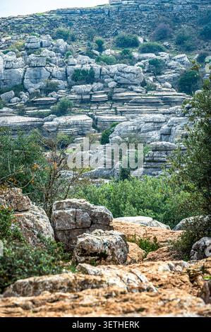 Formazioni rocciose calcaree a strati con arbusti sparsi e fitta vegetazione verde a El Torcal, Paraje Natural Torcal de Antequera, Andalusia, Spagna, Foto Stock