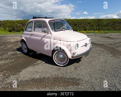 Classica Fiat 500 vintage degli anni '60 rosa pastello, parcheggiata su ghiaia e terra accanto a una siepe verde nel Regno Unito Foto Stock