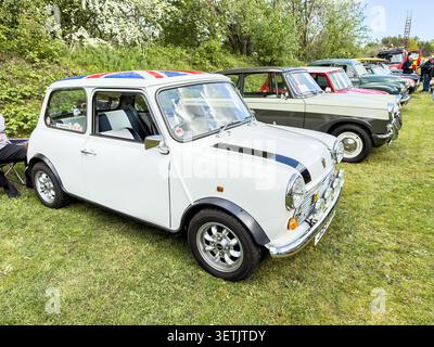 Mini Cooper bianca classica e veicoli d'epoca parcheggiati in una mostra all'aperto nel Regno Unito Foto Stock
