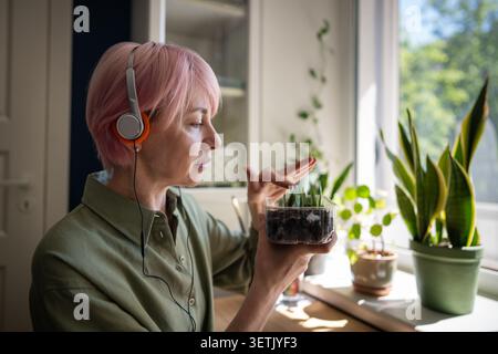 Donna matura amante delle piante che controlla lo stato di foglie di Zamioculcas piantate in contenitore con terreno Foto Stock
