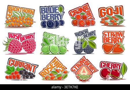 Vector Berry Set, collezione di 12 composizioni isolate di frutti di bosco succosi crudi con testo colorato, gruppo di cartoni animati interi e metà assortiti Illustrazione Vettoriale
