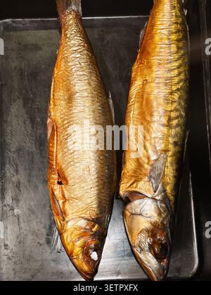 Coppia di pesci affumicati interi con una pelle dorata lucida, disposti fianco a fianco su un vassoio di metallo scuro, con scaglie ruvide, teste e code intatte, Foto Stock