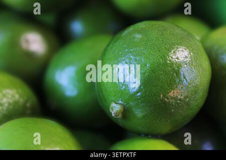 Primo piano di più lime chiave (agrumi x aurantiifolia) con qualche goccia d'acqua sopra di loro. Concetto: Frutta, agrumi, calce messicana, calce indiana occidentale Foto Stock