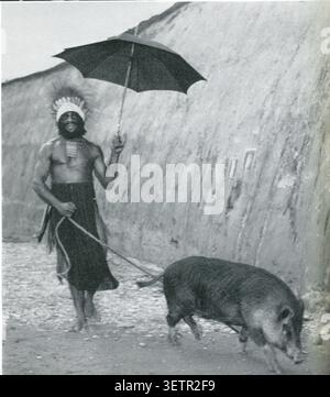 Isola dell'Età della Pietra - 7 anni in Nuova Guinea, dell'antropologa e autrice Maslyn Williams. Ombrello prodotto a Hong Kong sostituisce quelli in foglia di pandano. 1964. Foto Stock