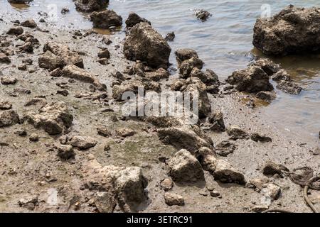 Una vista ravvicinata di una costa rocciosa e fangosa dove l'acqua lambisce dolcemente contro le pietre e la sabbia Foto Stock