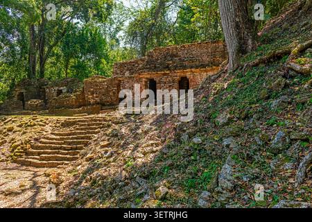 Rovine maya di Yaxchilan nella giungla, Chiapas, Messico. Foto Stock
