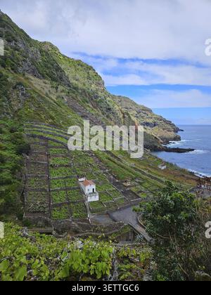 Paesaggio terrazzato su una costa con una piccola casa bianca, vegetazione lussureggiante e ripido sfondo roccioso, tranquillo paesaggio costiero con vista sul mare, sulle colline e. Foto Stock