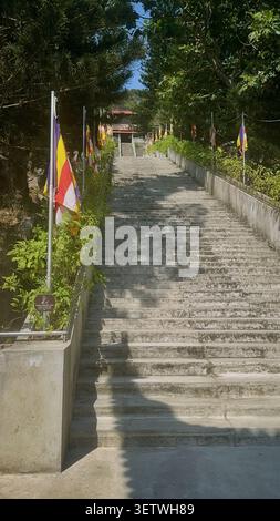 Lunga scalinata in cemento che conduce ad un tempio buddista asiatico. Una grande scalinata in pietra fiancheggiata da bandiere colorate e alberi verdi raggiunge un hidd Foto Stock