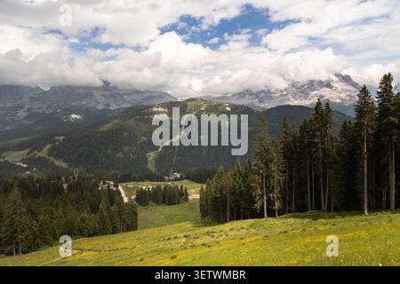 Vista panoramica dei prati alpini, delle foreste di conifere e delle cime dolomitiche ricoperte di nuvole nell'Italia settentrionale. Foto Stock