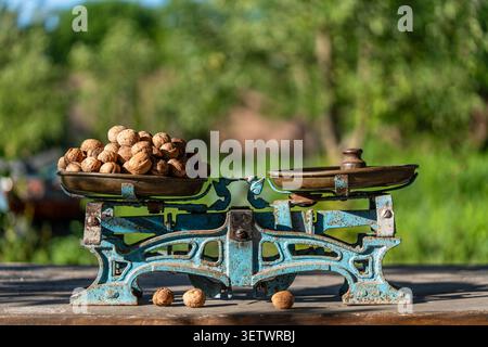Bilance meccaniche vintage con noci in giardino. Vecchie bilance arrugginite che pesano noci organiche su un tavolo di legno, all'aperto. Perfetto per mercati alimentari rustici Foto Stock