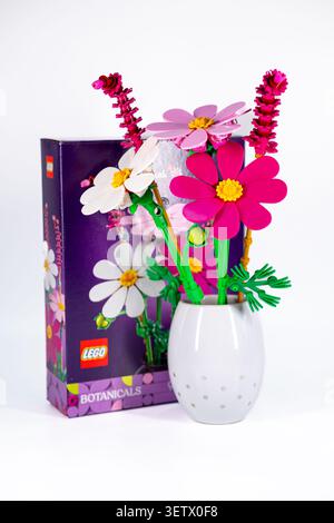 Lettonia, Jurmala - 20.06.2026: Nuova scatola lego con fiori Cosmos. Coloratissimi fiori LEGO in un vaso accanto alla loro scatola su sfondo bianco Foto Stock