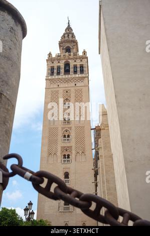 Cattedrale di Siviglia, Catedral de Sevilla con il campanile noto come Torre Giralda Foto Stock