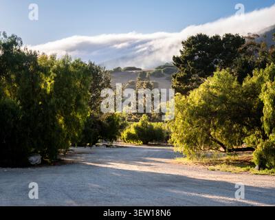 Un sentiero sterrato panoramico si snoda attraverso una vivace vegetazione verde mentre il sole proietta lunghe ombre e illumina il paesaggio con una calda luce dorata Foto Stock