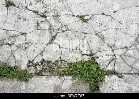 Vista dall'alto ravvicinata di pavimentazioni in calcestruzzo fessurato con una fessura orizzontale prominente lungo la quale piccole erbacce, erba e piante a bassa crescita. Foto Stock