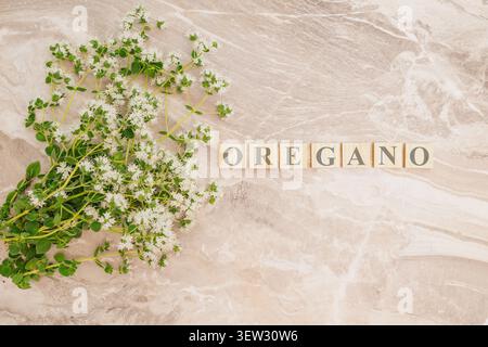 Vista dall'alto dei rami di origano in fiore con piccoli fiori bianchi che circondano blocchi di lettere in legno che scrivono la parola origano su una pietra di marmo grigio chiaro Foto Stock