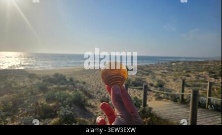 Conchiglia tenuta a mano sulla spiaggia della costa atlantica in Portogallo Foto Stock