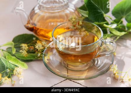 Tisane tisane in una teiera di vetro e tazza, con fiori di tiglio freschi Foto Stock