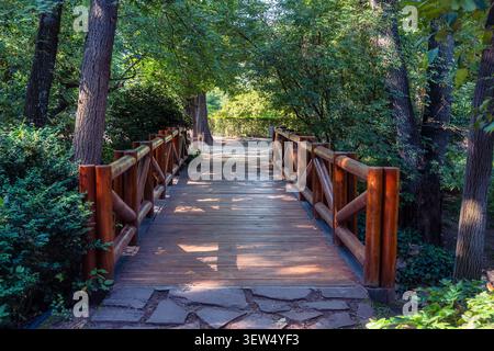 Romantico ponte in legno su un piccolo stagno nel Parco del Retiro a Madrid, Spagna. Foto Stock