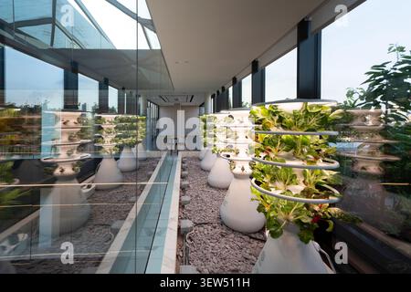 Square Mile Farms Foto Stock