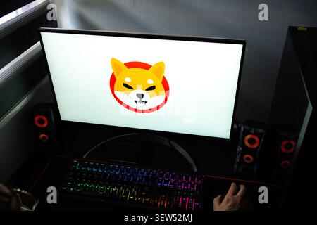 Una persona a una scrivania con il logo della criptovaluta Shiba Inu (SHIB) visualizzato su un monitor del computer Foto Stock
