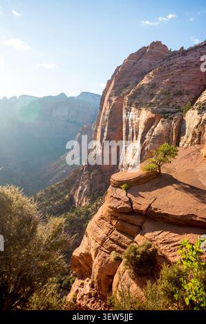 Vista dal Pine Creek Canyon che si affaccia nel tardo pomeriggio allo Zion National Park, Utah Foto Stock