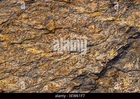 Primo piano dettagliato di una superficie rocciosa ruvida che mostra texture geologiche. L'immagine presenta toni di grigio scuro e marrone terroso con venature gialle dorate Foto Stock