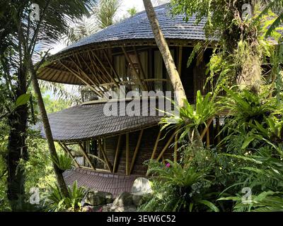 Eco-villa di bamboo di lusso a più piani con tetti ricurvi di piastrelle accoccolati nella lussureggiante giungla tropicale, Ubud, Bali, Indonesia. Foto Stock