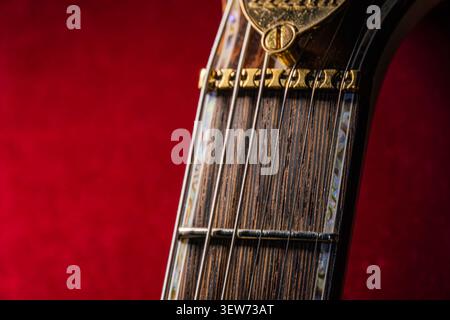 Testa per chitarra acustica di alta qualità, con collo e lavagna in legno scuro, intricate incisioni metalliche, spaccature metalliche distanziate uniformemente, che mettono in risalto Foto Stock
