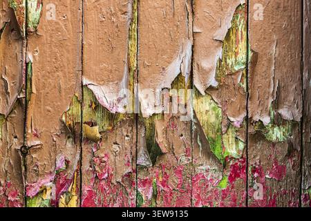 Vernice sbucciata su cancello in legno, lacca. Colorato, vecchio, intempestivo Foto Stock
