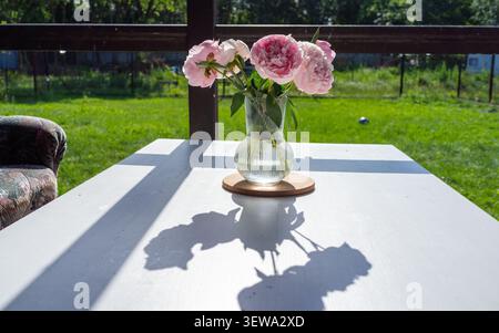 Fiori di peonia rosa in una vaso di vetro trasparente appoggiati su un tavolo bianco accanto a luce calda e ombre morbide, con uno sfondo di giardino verdeggiante che crea una natura morta primaverile tranquilla e un'atmosfera di arredamento elegante Foto Stock
