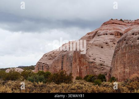 Formazioni di arenaria rossa erose nel deserto dell'Arizona, con superfici lisce intagliate, motivi naturali e spettacolari forme geologiche Foto Stock